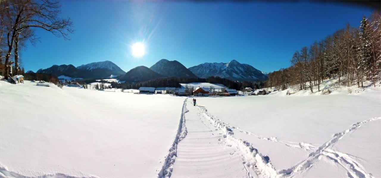 Ferienwohnungen Seraphine Und Theresia Grundlsee Exteriör bild