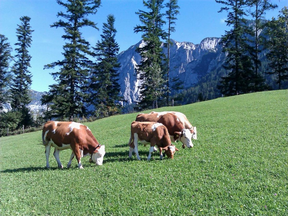 Ferienwohnungen Seraphine Und Theresia Grundlsee Exteriör bild
