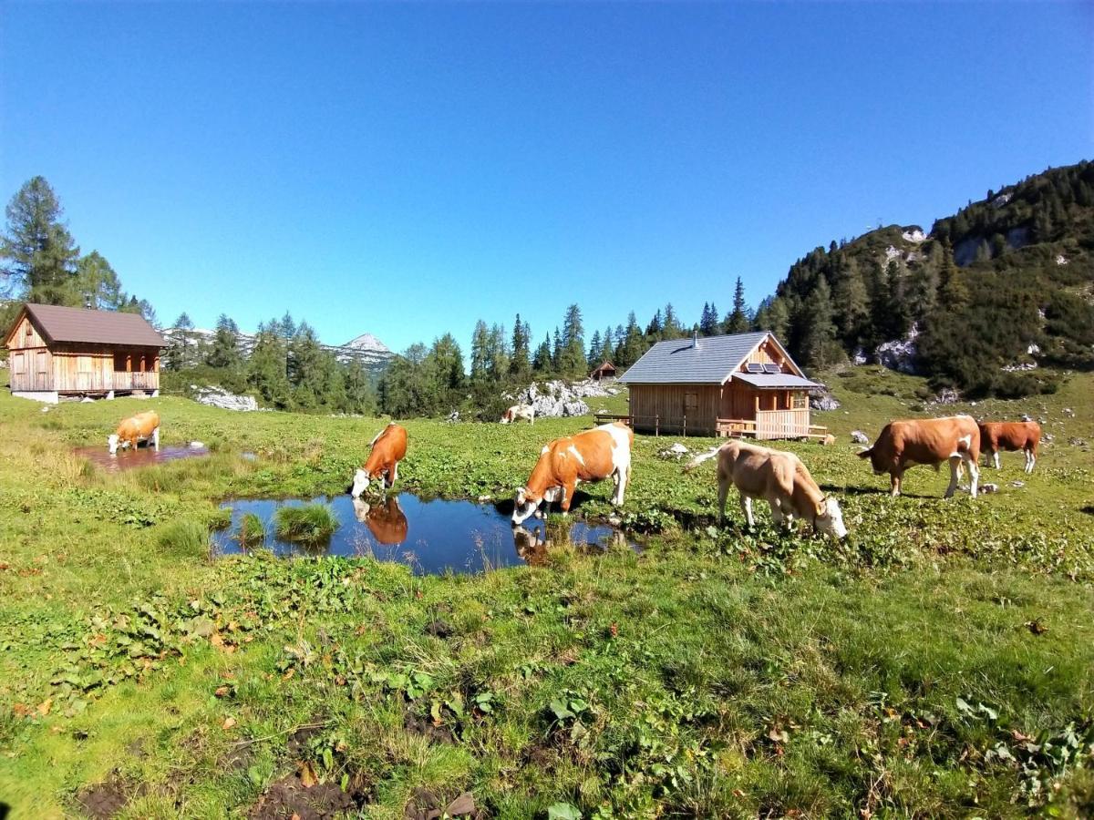Ferienwohnungen Seraphine Und Theresia Grundlsee Exteriör bild